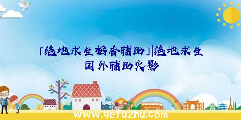 「绝地求生稻香辅助」|绝地求生国外辅助火影